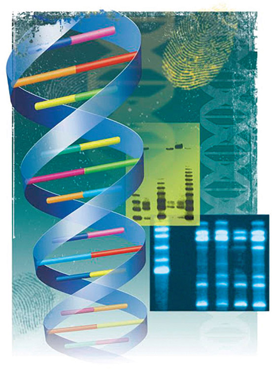Figure 1-18 Genetic—what are the possibilities of our structure and experience?