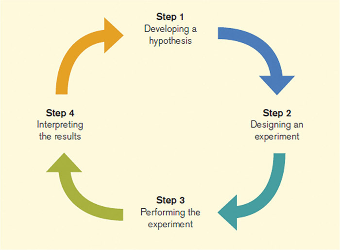 Figure 2-2 Schematic representation of the four major steps in the experimental process. These are developing a hypothesis, designing an experiment, performing the experiment, and interpreting the results.