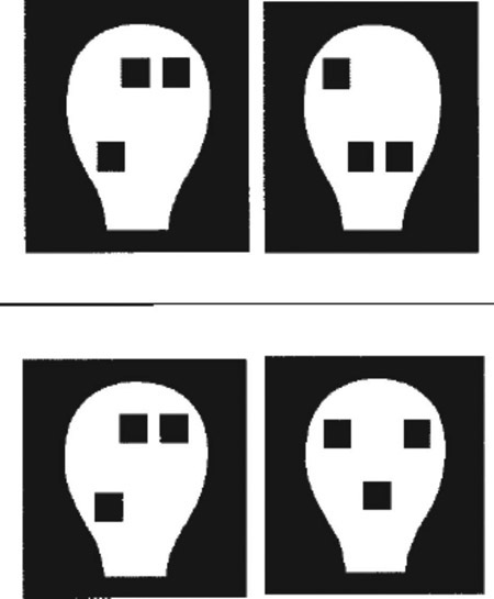 Figure 4-4 Infants prefer more human-looking faces. The left face on top (54 seconds) versus top right (38 seconds), and the right face on bottom (41 seconds) versus left face (35 seconds).