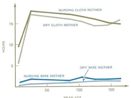 Figure 4-11 Time spent on cloth and wire surrogate. Whether fed or not, the monkey infants like the cloth mothers better.