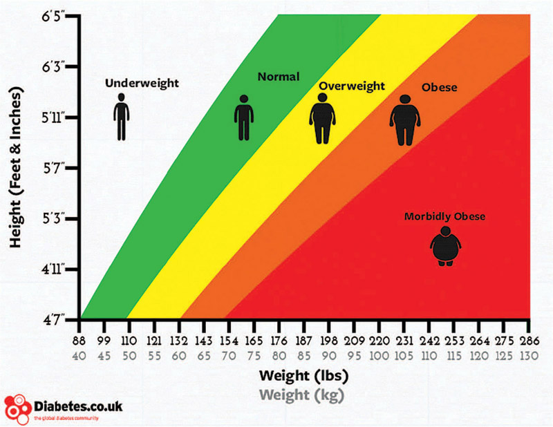 Figure 10-5 BMI is determined by comparing height and weight.