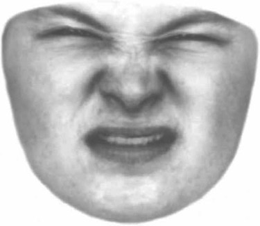 Figure 10-10 Facial expressions of fear and disgust show the opposite patterns.