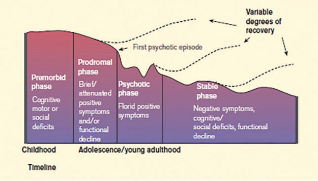 Figure 14-5 Phases in the development of schizophrenia.